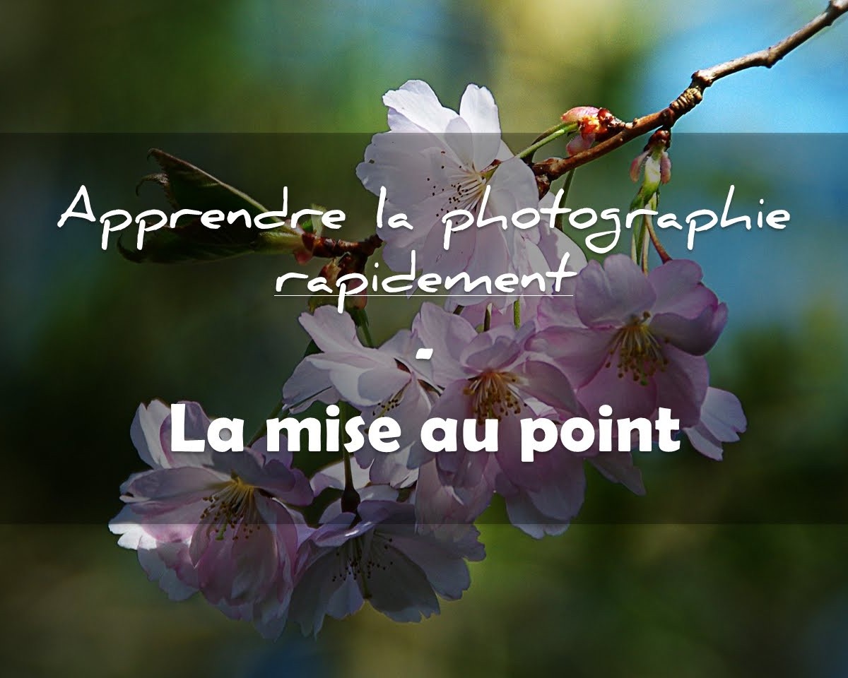 Devenir photographe : Exploiter ses talents
