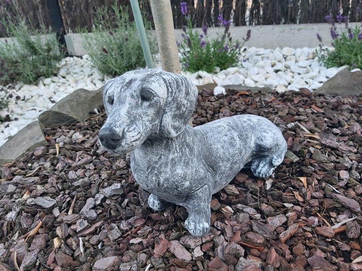 Statue de chien teckel en béton de 33 cm de long et gris robuste | bol.com